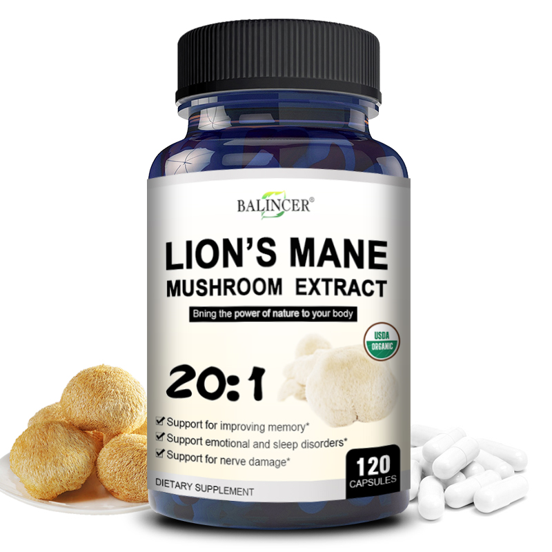 Lion Mane Mushroom - Lion's Mane - Nootropik Beyin Hafızası