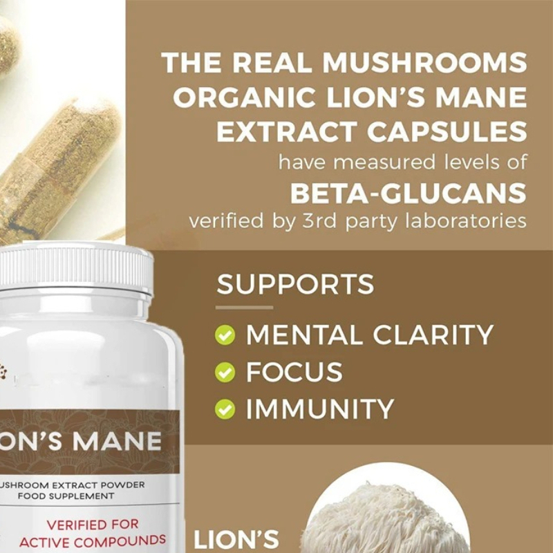 Lion Mane Mushroom - Aslan Yelesi Ganoderma Mantarı Kapsülleri Bağışıklığı