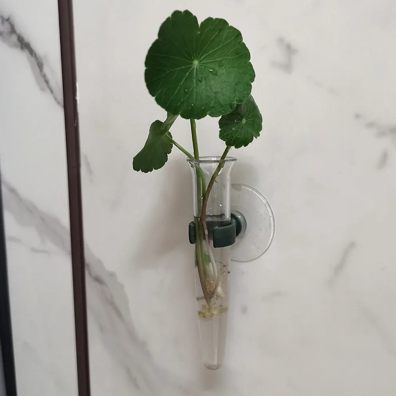 11cm Çiçek Su Tüpleri Plastik  - Nutrition & Fitness Coaching Fulham incelemesi ve fiyatı