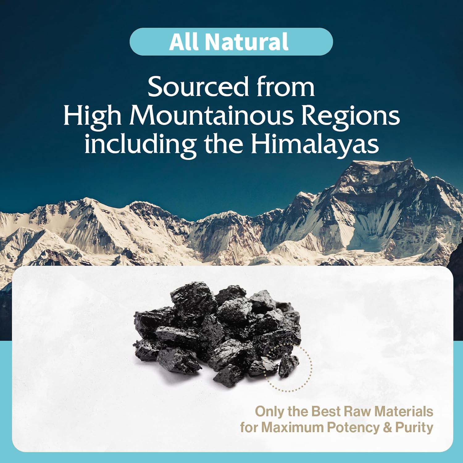Saf Himalaya Şilajit Reçinesi, - Shilajit Resin Pure incelemesi ve fiyatı