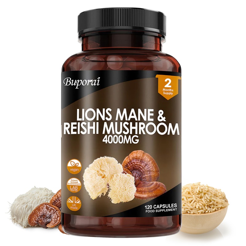 Aslan Yelesi ve Reishi Mantarı - Lion Mane Mushroom incelemesi ve fiyatı