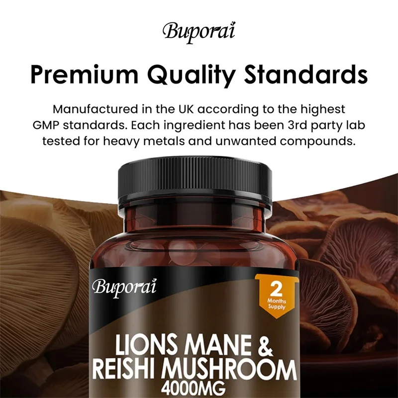 Aslan Yelesi ve Reishi Mantarı - Lion Mane Mushroom incelemesi ve fiyatı