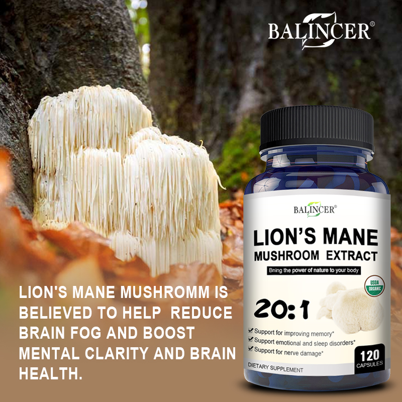 Lion's Mane - Nootropik Beyin  - Lion Mane Mushroom incelemesi ve fiyatı